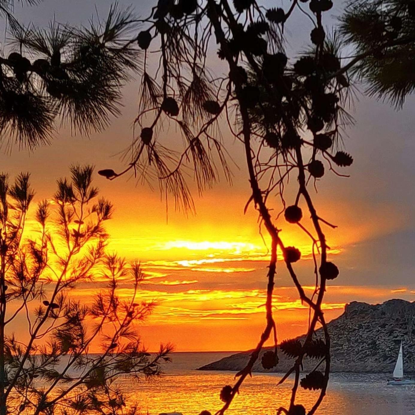 Aphrodite Studios Kalymnos Myrties Exterior foto